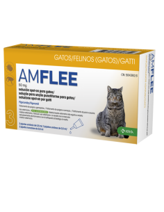 AMFLEE Gatos