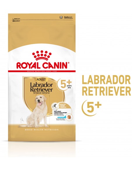 Royal Canin BHN Labrador Retriever Adult 5+ Alimento Seco Cão