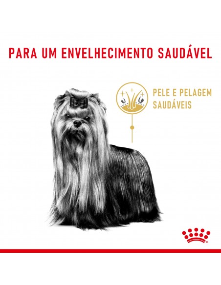 Royal Canin BHN Yorkshire Terrier Adult 8+ Alimento Seco Cão