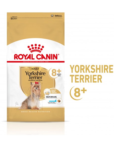 Royal Canin BHN Yorkshire Terrier Adult 8+ Alimento Seco Cão