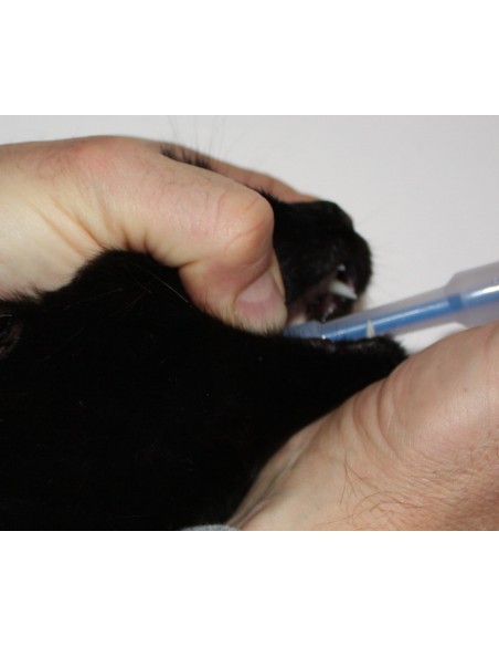 Como usar Aplicador de Comprimidos Corax Vet