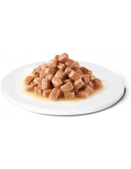 Advance Cão VD Recovery Alimento Húmido