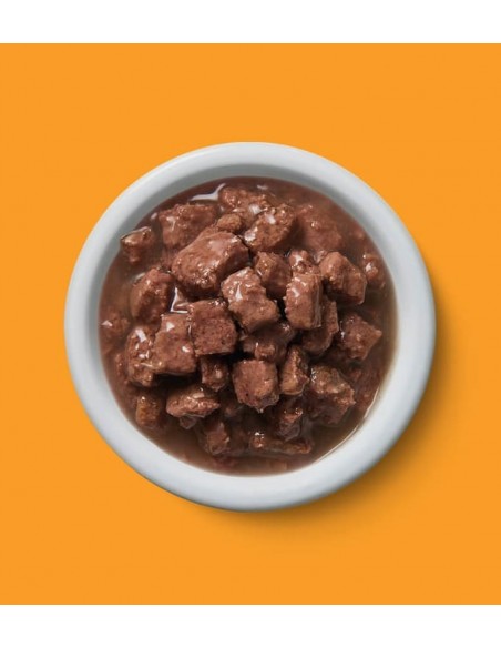 Lily´s Kitchen Gato Peixe do Oceano