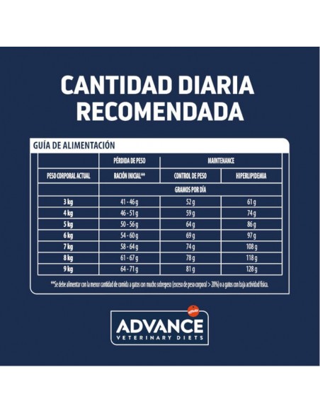 Advance Gato VD Weight Balance