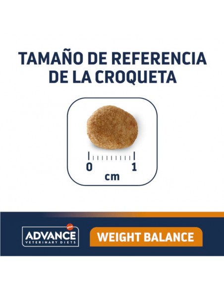 Advance Gato VD Weight Balance