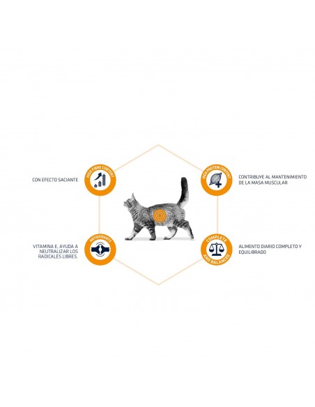 Advance Gato VD Weight Balance Húmido