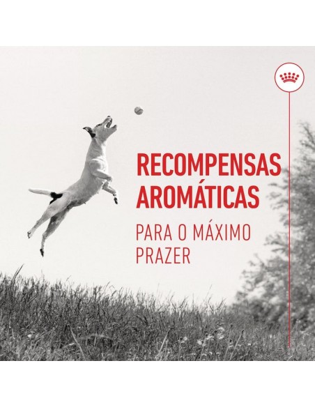 Royal Canin Cão Training Treats 110 Gr