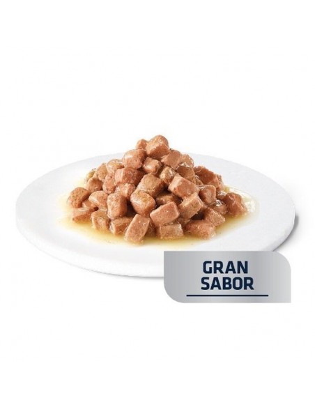Advance Gato VD Renal Húmido