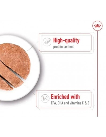 Royal Canin Cão Medio Ageing Humido