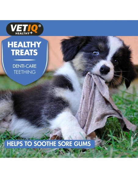 Vetiq Healthy Treats Teething for Puppies 50gr