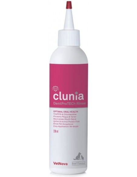 Clunia
