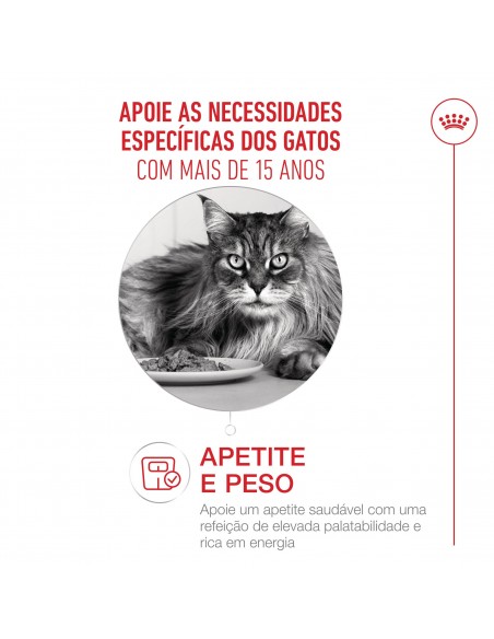 Royal Canin Gato Senior 15+
