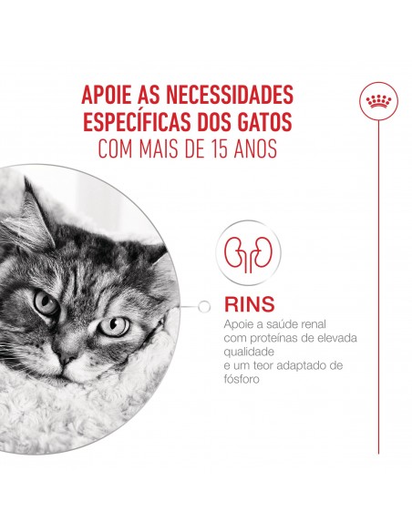 Royal Canin Gato Senior 15+