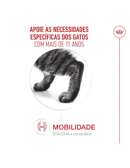 Royal Canin Gato Senior 11+  Saquetas (Molho)