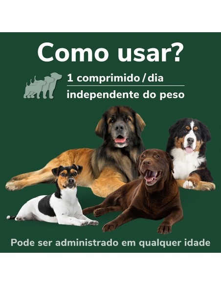 Omnicondro PROrapid 60 Comprimidos