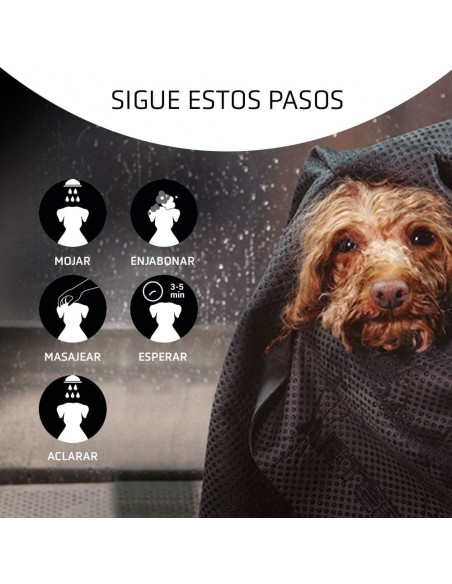 Artero Shampoo Detox Carbon