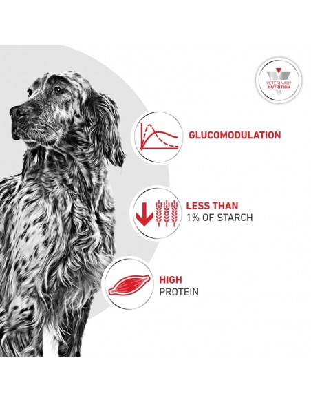 Royal Canin VD Cão Lata Glycobalance