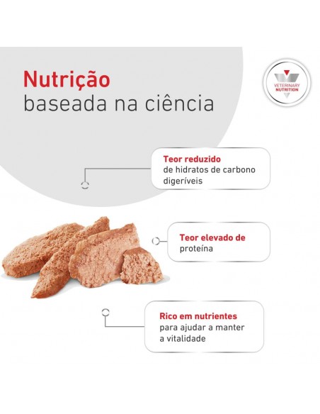 Royal Canin VD Cão Lata Glycobalance