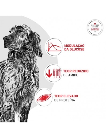 Royal Canin VD Cão Glycobalance