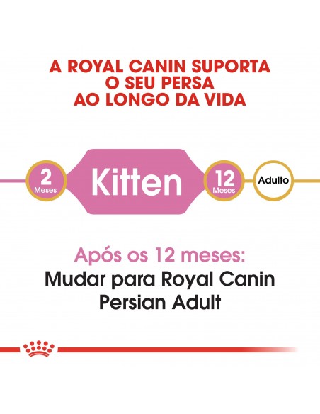 Royal Canin Feline Beed Nutrition Kitten Persa Alimento Seco Gato