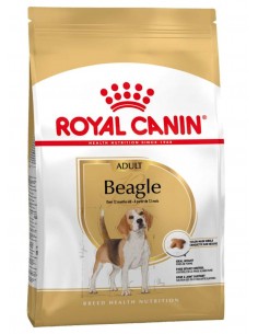 Royal Canin Cão Beagle Adulto