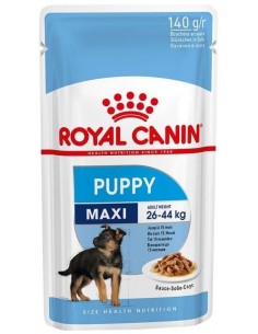 Royal Canin Cão Maxi Puppy