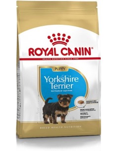 Royal Canin BHN Yorkshire Terrier Puppy