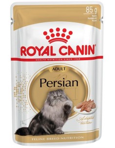 Royal Canin Gato Persa