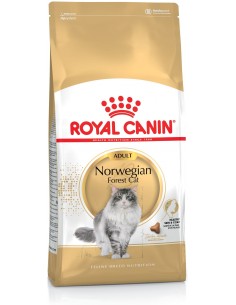 Royal Canin FBN Norwegian Forest Adulto