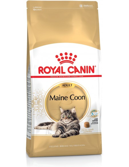 Royal Canin FBN Maine Coon Adulto