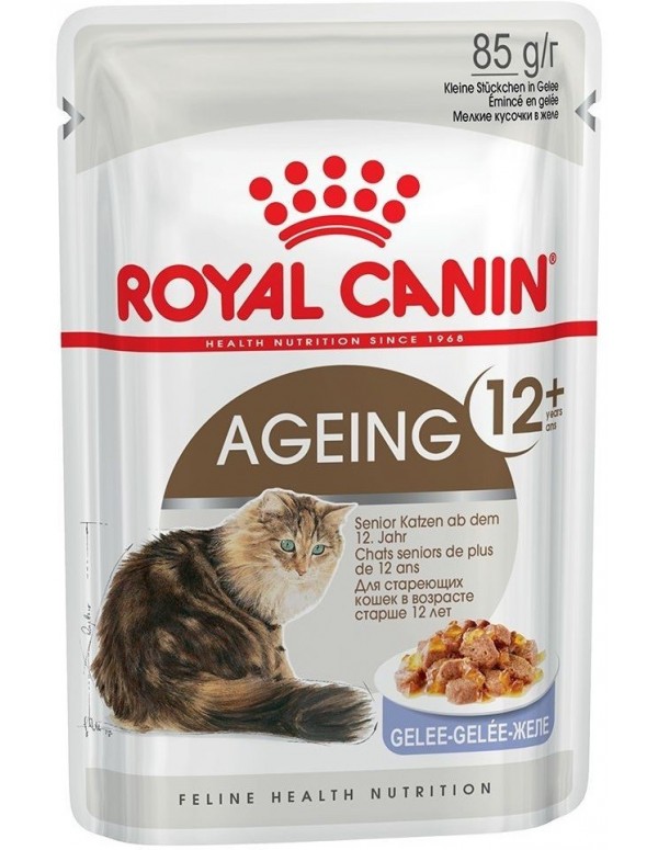 Royal Canin Gato Ageing 12+ (Jelly)