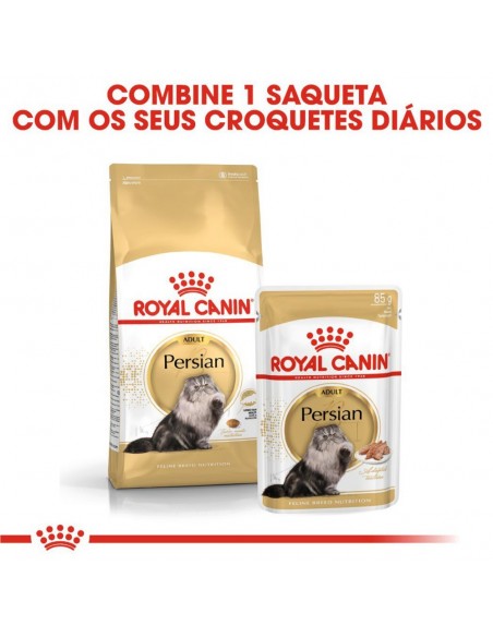 Royal Canin FBN Persian Alimento Seco Gato