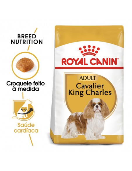Royal Canin BHN Cavalier King Charles Adult Alimento Seco Cão