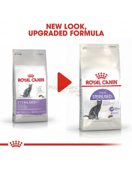 Royal Canin FHN Sterilised Alimento Seco Gato