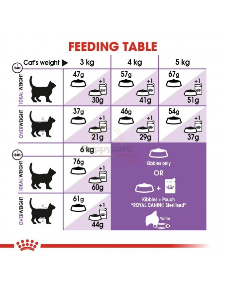 Royal Canin FHN Sterilised Alimento Seco Gato