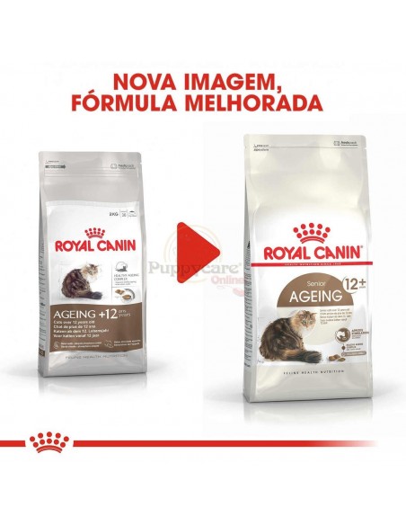 Royal Canin FHN Ageing 12+ Alimento Seco Gato