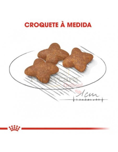 Royal Canin SHN Mini Adult Alimento Seco Cão
