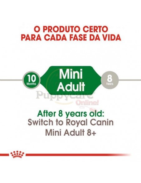 Royal Canin SHN Mini Adult Alimento Seco Cão