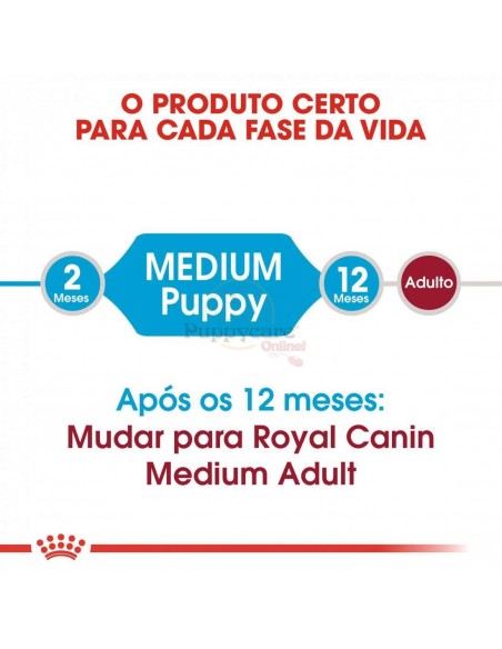 Royal Canin SHN Medium Puppy Alimento Húmido Cão